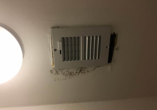 Dealing with Mold in Your Air Ducts: What You Need to Know